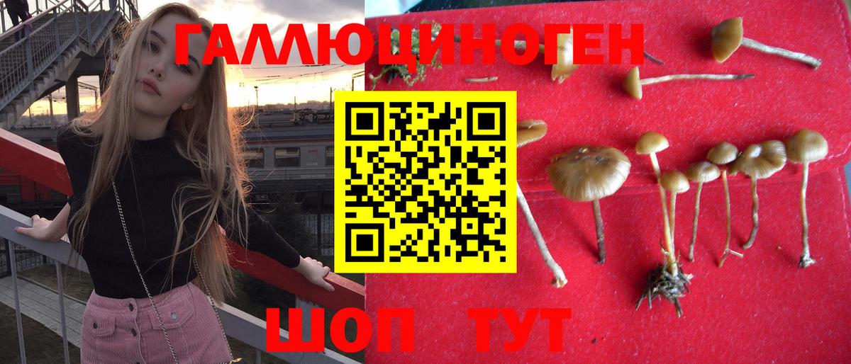 Псилоцибиновые грибы мицелий  Псилоцибиновые грибы Cubensis  Вход с VPN  Белорецк 